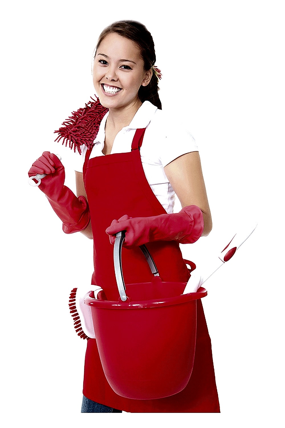Domestics Plus QLD Regular Clean